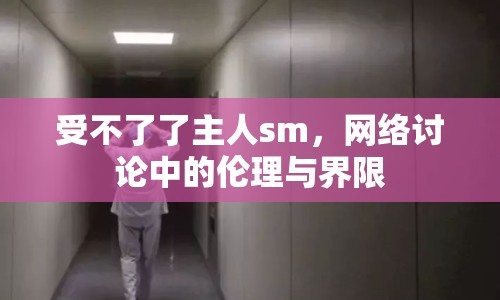受不了了主人sm，網(wǎng)絡(luò)討論中的倫理與界限