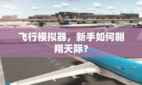 飛行模擬器，新手如何翱翔天際？