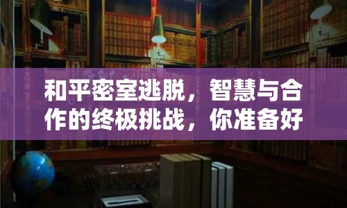 和平密室逃脫，智慧與合作的終極挑戰(zhàn)，你準(zhǔn)備好了嗎？