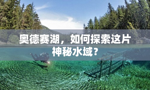 奧德賽湖，如何探索這片神秘水域？