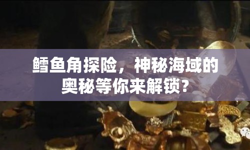 鱈魚角探險，神秘海域的奧秘等你來解鎖？