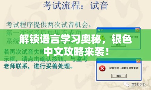 解鎖語言學(xué)習(xí)奧秘，銀色中文攻略來襲！