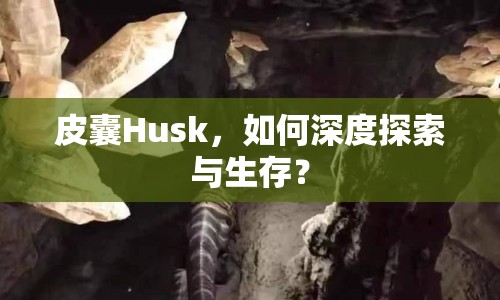 皮囊Husk，如何深度探索與生存？