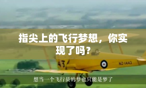 指尖上的飛行夢想，你實(shí)現(xiàn)了嗎？