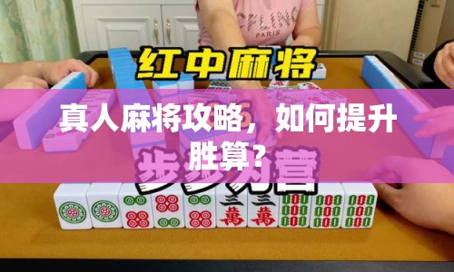 真人麻將攻略，如何提升勝算？
