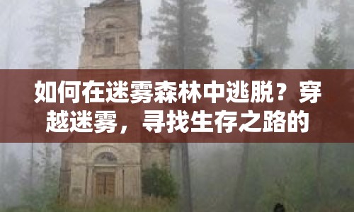 如何在迷霧森林中逃脫？穿越迷霧，尋找生存之路的攻略！