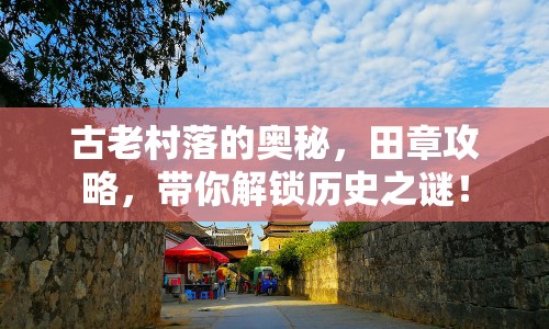 古老村落的奧秘，田章攻略，帶你解鎖歷史之謎！