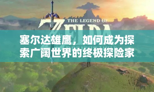 塞爾達(dá)雄鷹，如何成為探索廣闊世界的終極探險(xiǎn)家？