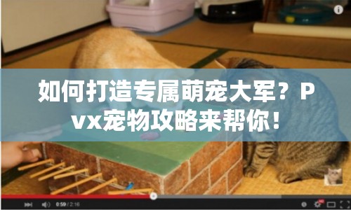 如何打造專屬萌寵大軍？Pvx寵物攻略來幫你！