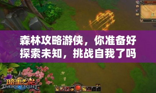 森林攻略游俠，你準備好探索未知，挑戰(zhàn)自我了嗎？