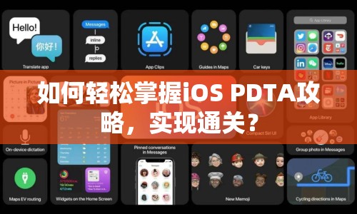 如何輕松掌握iOS PDTA攻略，實(shí)現(xiàn)通關(guān)？