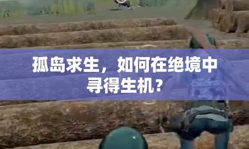 孤島求生，如何在絕境中尋得生機(jī)？