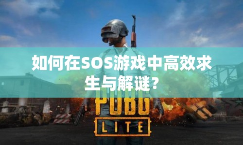 如何在SOS游戲中高效求生與解謎？