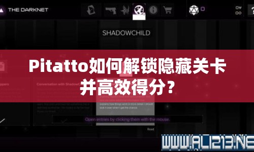 Pitatto如何解鎖隱藏關(guān)卡并高效得分？