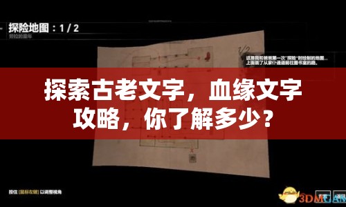 探索古老文字，血緣文字攻略，你了解多少？