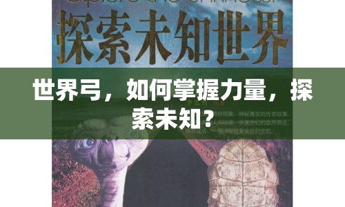 世界弓，如何掌握力量，探索未知？