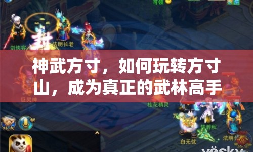 神武方寸，如何玩轉(zhuǎn)方寸山，成為真正的武林高手？