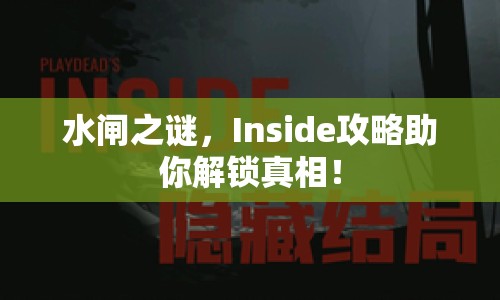水閘之謎，Inside攻略助你解鎖真相！