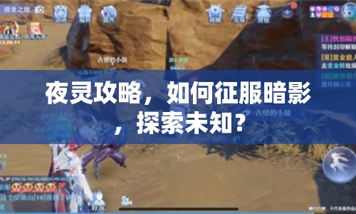 夜靈攻略，如何征服暗影，探索未知？