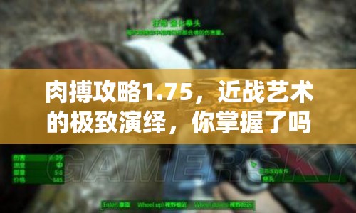 肉搏攻略1.75，近戰(zhàn)藝術(shù)的極致演繹，你掌握了嗎？