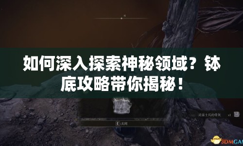 如何深入探索神秘領域？缽底攻略帶你揭秘！