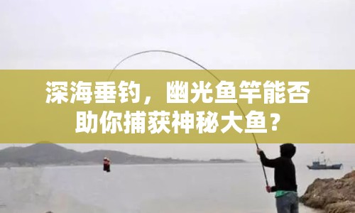 深海垂釣，幽光魚(yú)竿能否助你捕獲神秘大魚(yú)？