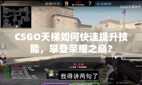 CSGO天梯如何快速提升技能，攀登榮耀之巔？