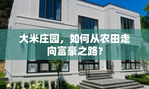 大米莊園，如何從農(nóng)田走向富豪之路？