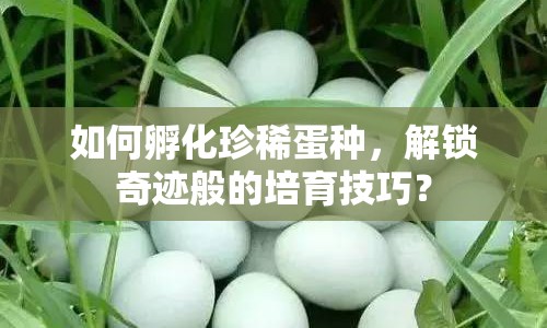 如何孵化珍稀蛋種，解鎖奇跡般的培育技巧？