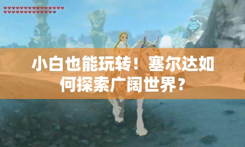 小白也能玩轉(zhuǎn)！塞爾達如何探索廣闊世界？
