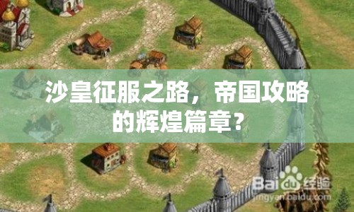 沙皇征服之路，帝國攻略的輝煌篇章？