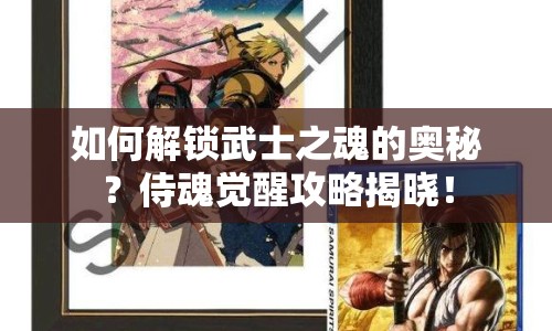 如何解鎖武士之魂的奧秘？侍魂覺(jué)醒攻略揭曉！