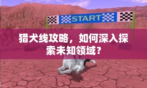 獵犬線攻略，如何深入探索未知領(lǐng)域？