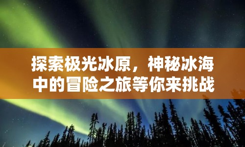 探索極光冰原，神秘冰海中的冒險(xiǎn)之旅等你來(lái)挑戰(zhàn)？
