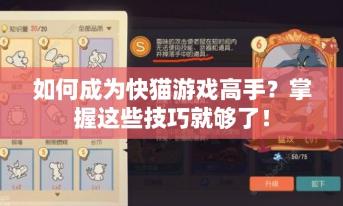 如何成為快貓游戲高手？掌握這些技巧就夠了！