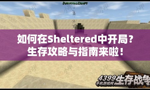 如何在Sheltered中開局？生存攻略與指南來啦！