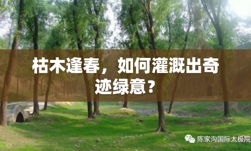 枯木逢春，如何灌溉出奇跡綠意？