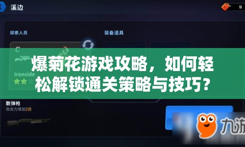 爆菊花游戲攻略，如何輕松解鎖通關(guān)策略與技巧？