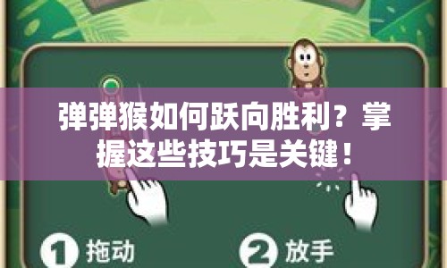 彈彈猴如何躍向勝利？掌握這些技巧是關(guān)鍵！