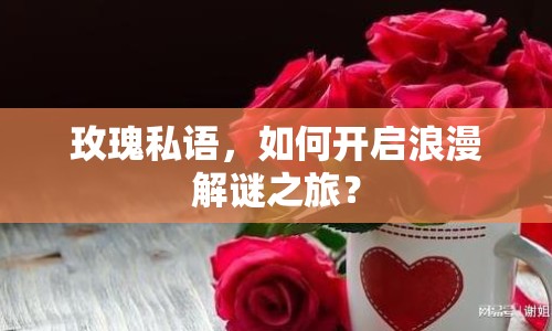 玫瑰私語(yǔ)，如何開(kāi)啟浪漫解謎之旅？