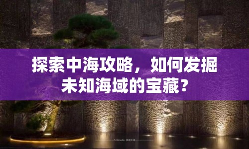 探索中海攻略，如何發(fā)掘未知海域的寶藏？