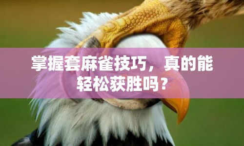 掌握套麻雀技巧，真的能輕松獲勝嗎？