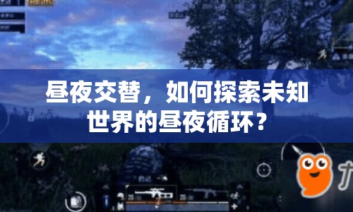 晝夜交替，如何探索未知世界的晝夜循環(huán)？