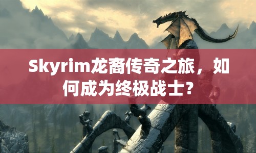Skyrim龍裔傳奇之旅，如何成為終極戰(zhàn)士？