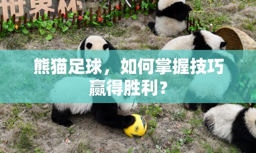 熊貓足球，如何掌握技巧贏得勝利？