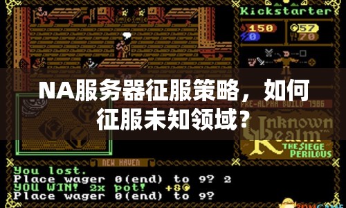 NA服務(wù)器征服策略，如何征服未知領(lǐng)域？