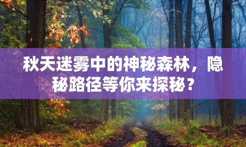 秋天迷霧中的神秘森林，隱秘路徑等你來探秘？