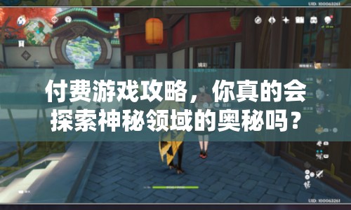 付費游戲攻略，你真的會探索神秘領(lǐng)域的奧秘嗎？