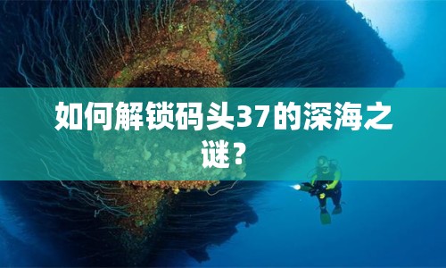 如何解鎖碼頭37的深海之謎？