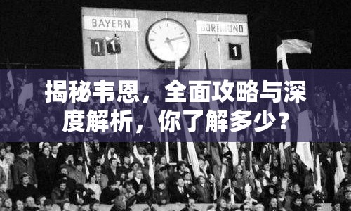 揭秘韋恩，全面攻略與深度解析，你了解多少？